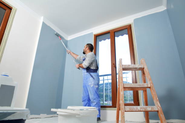 Best Eco-Friendly and Low-VOC Painting  in USA